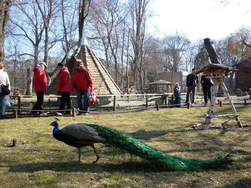 ZOO